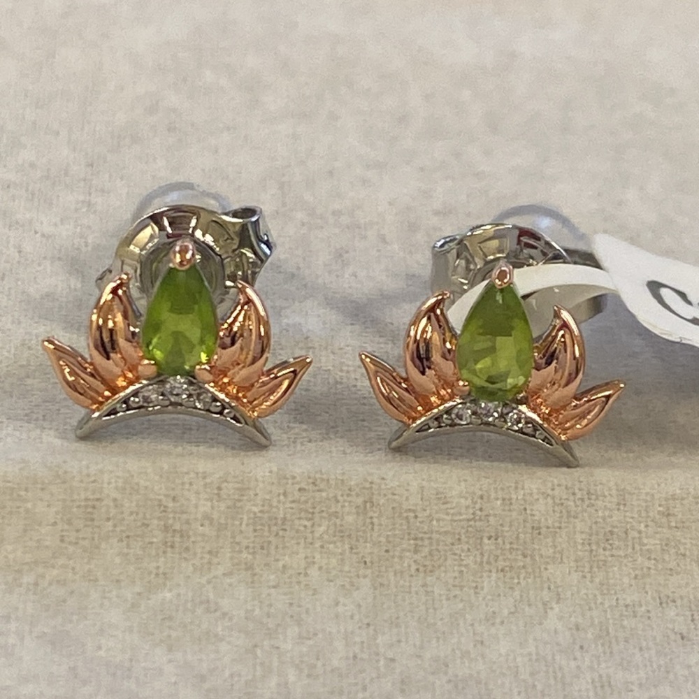 🍭Official Disney Princess Tiana stud earrings, Charmed Aroma